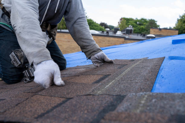 Best Metal Roofing Contractor  in Kings Mills, OH