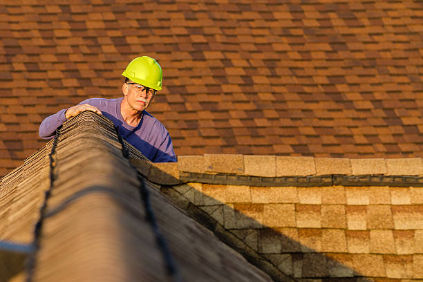 Best Roof Gutter Cleaning  in Kings Mills, OH